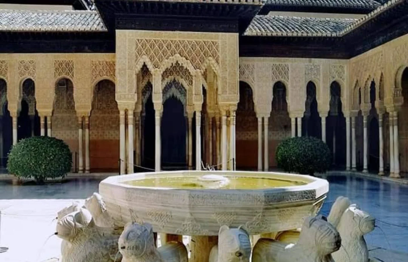 Arte y galerías en Granada