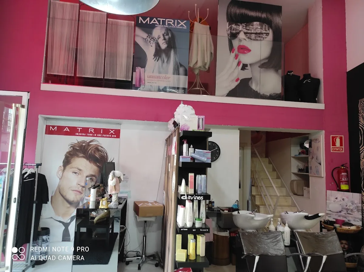 Galería MT