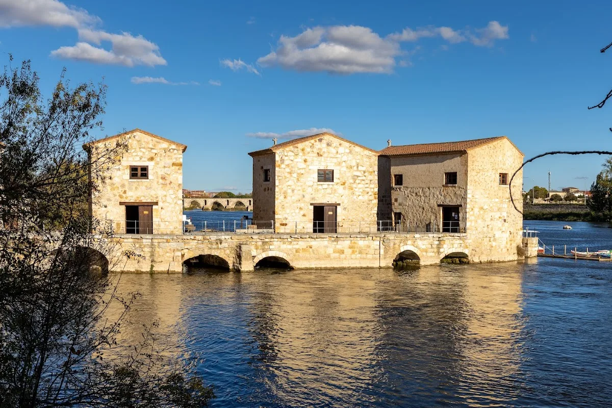 Aceñas de Olivares