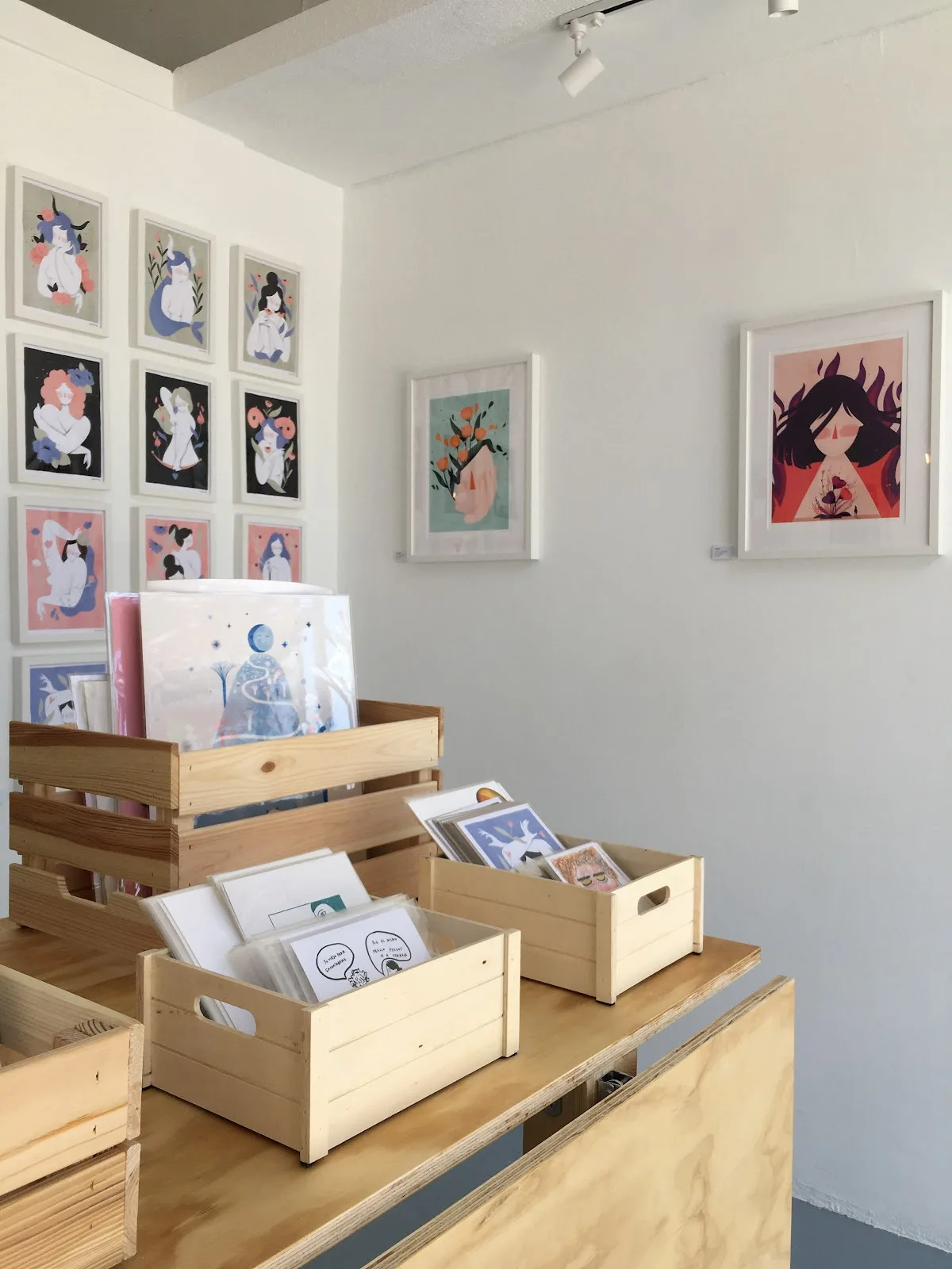 Ácida Gallery - Fotografía 1