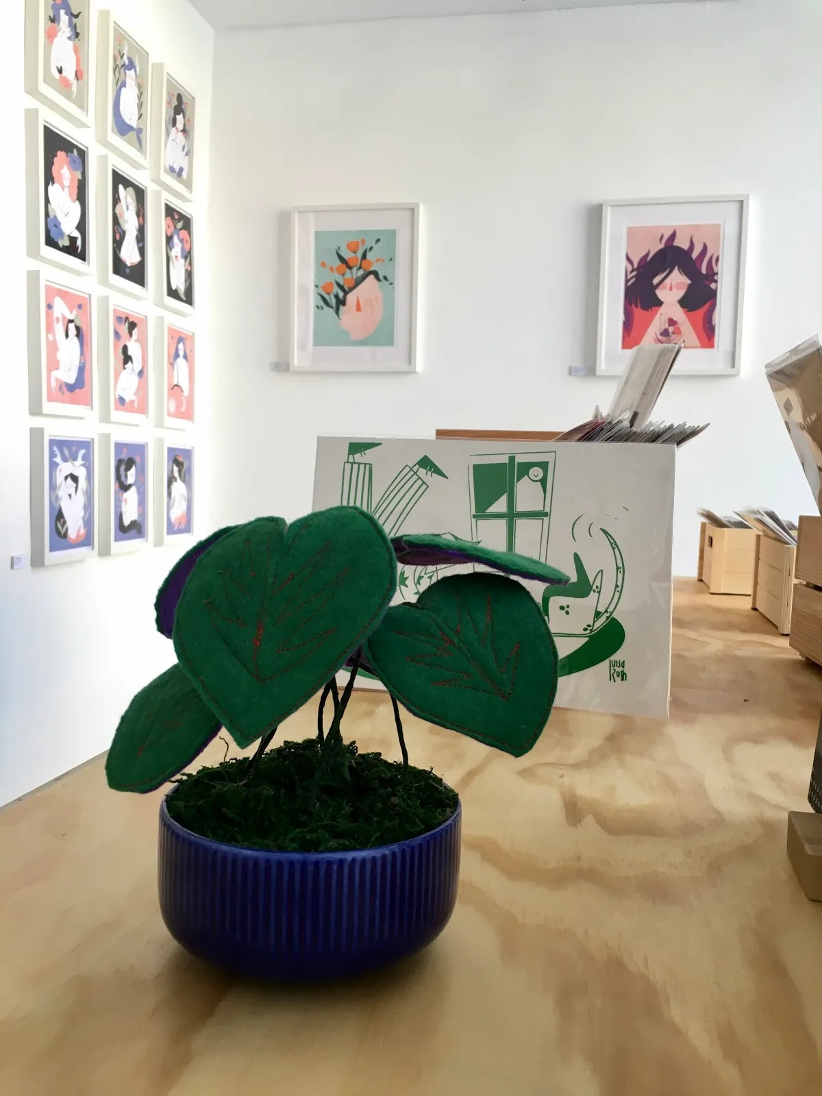 Ácida Gallery - Fotografía 2