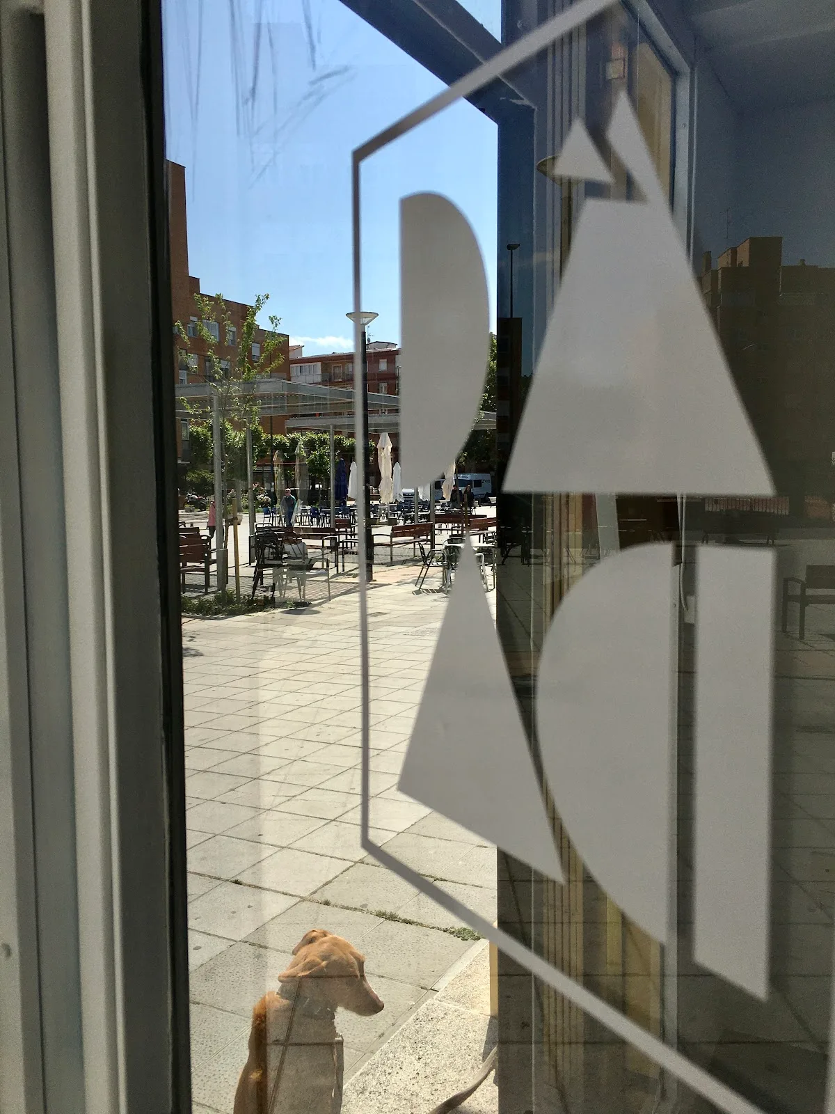 Ácida Gallery - Fotografía 5