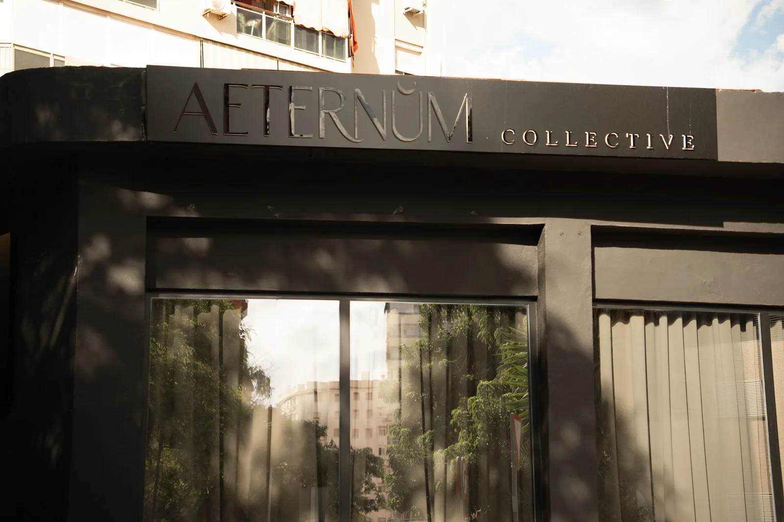 AETERNUM Collective - Fotografía 4