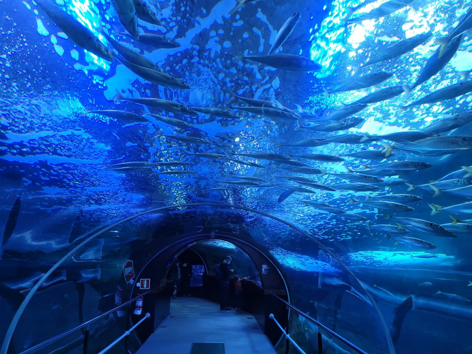 Aquarium | San Sebastián - Fotografía 1