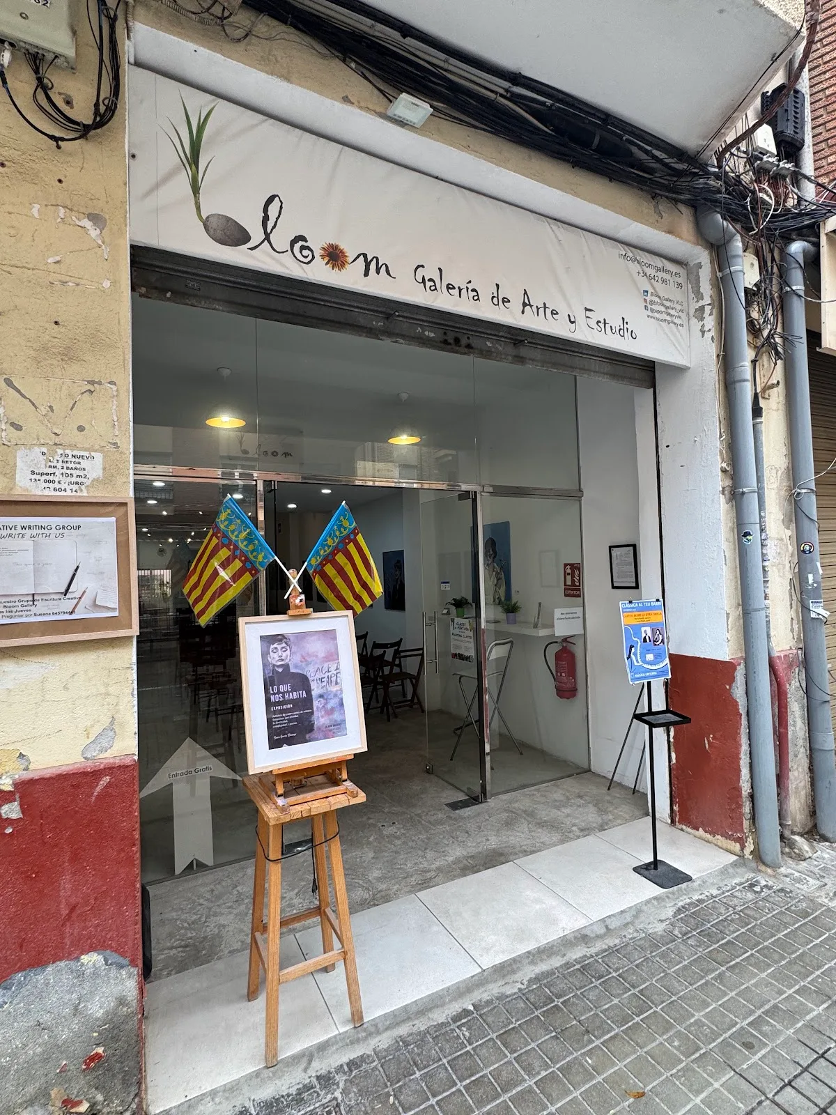 Bloom Gallery VLC - Fotografía 1