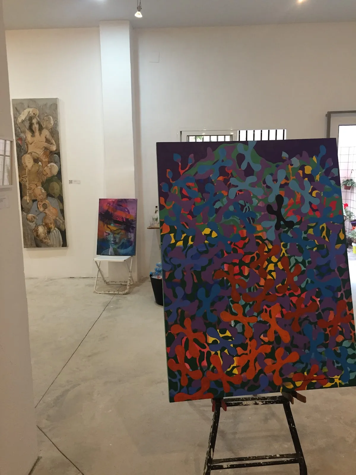 Bloom Gallery VLC - Fotografía 2