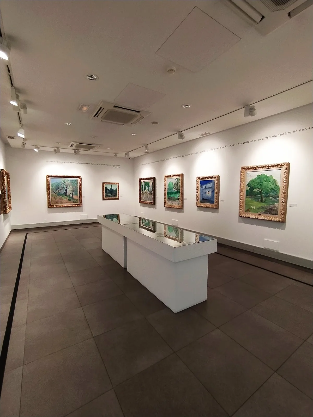 Centro De Arte Contemporaneo Rafael Boti