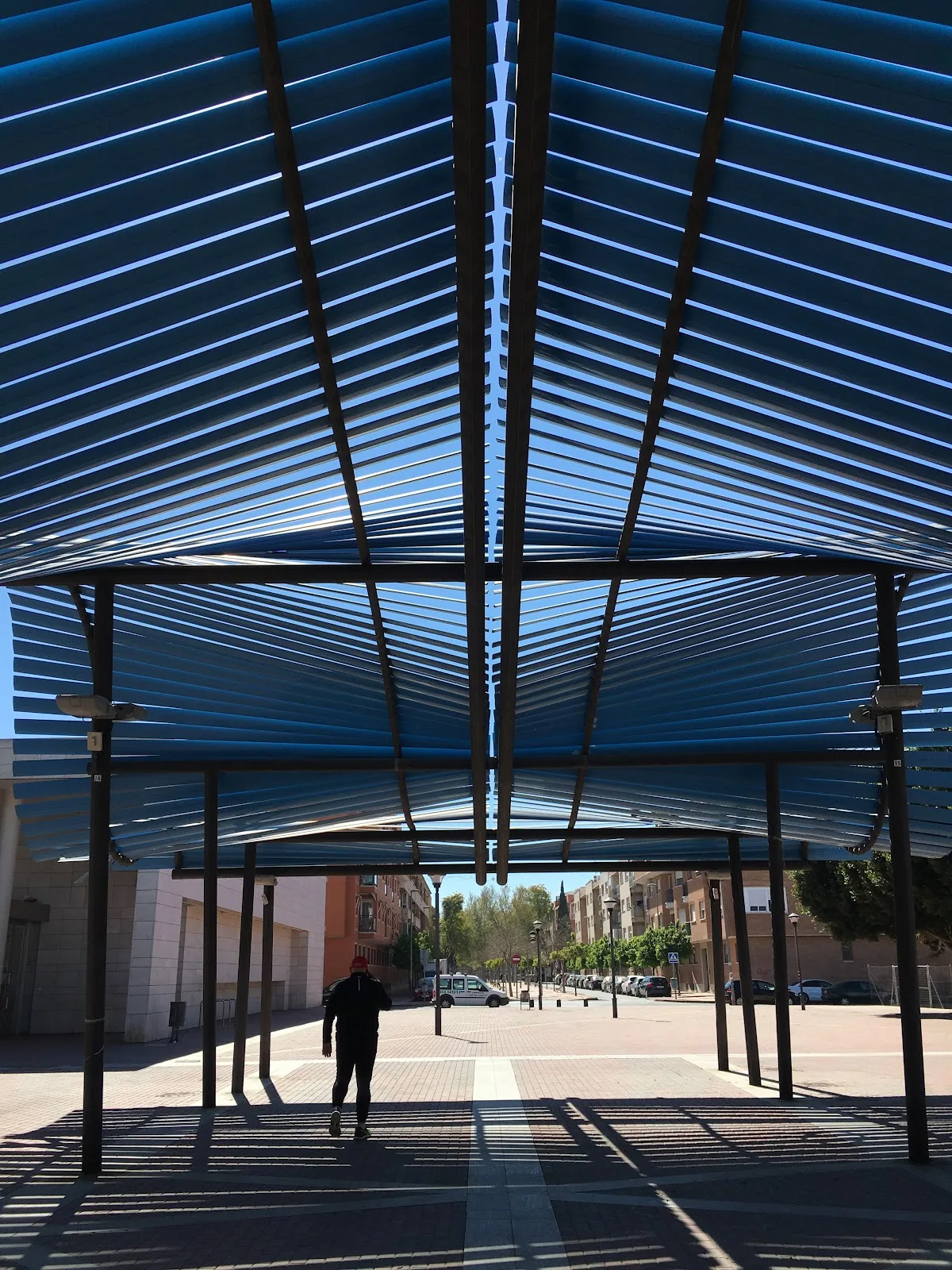 Centro Municipal Santiago y Zaraiche - Fotografía 4