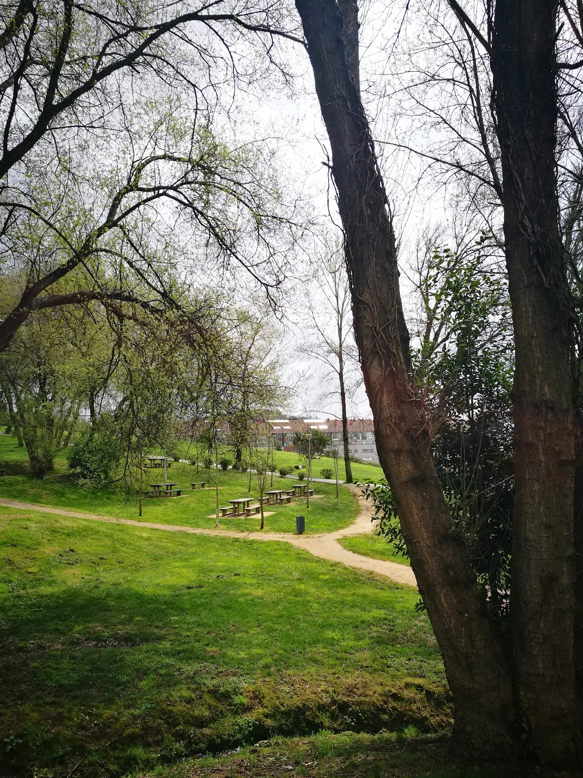 Centro Sociocultural de Fontiñas (Santiago de Compostela) - Fotografía 4