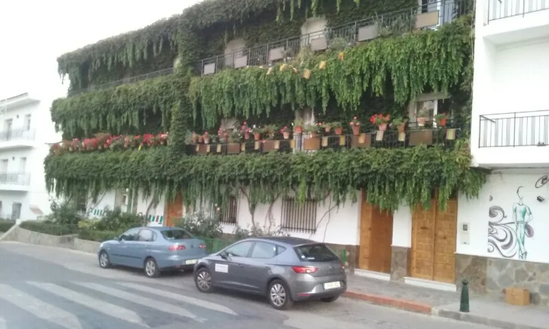 Centro Sociocultural Gitano Andaluz - Fotografía 5