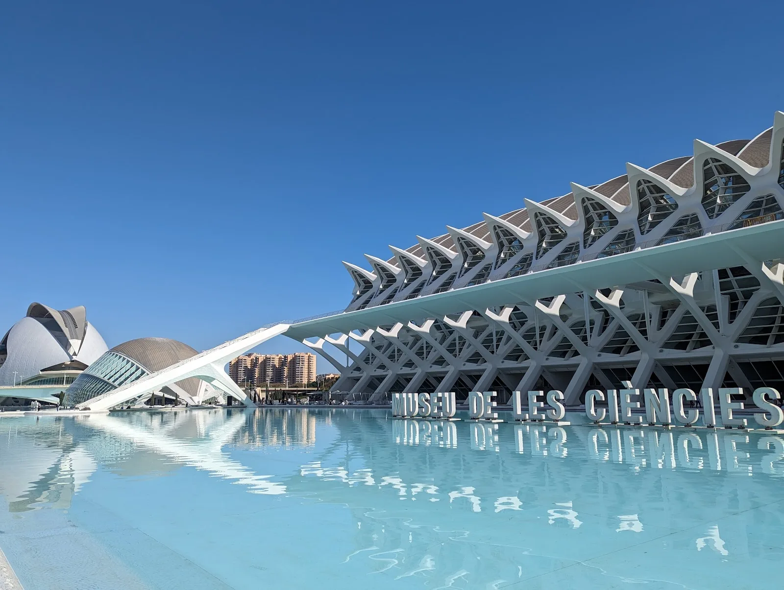 Ciudad de las Artes y las Ciencias - Fotografía 5