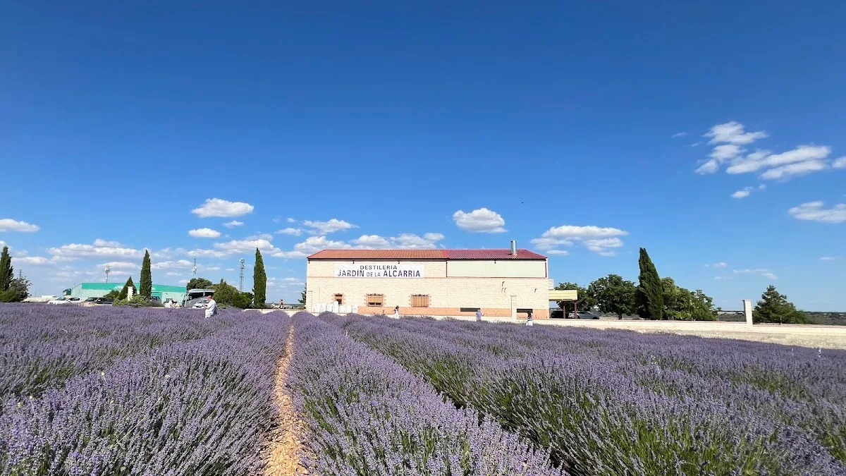 Destilería Jardín de la Alcarria