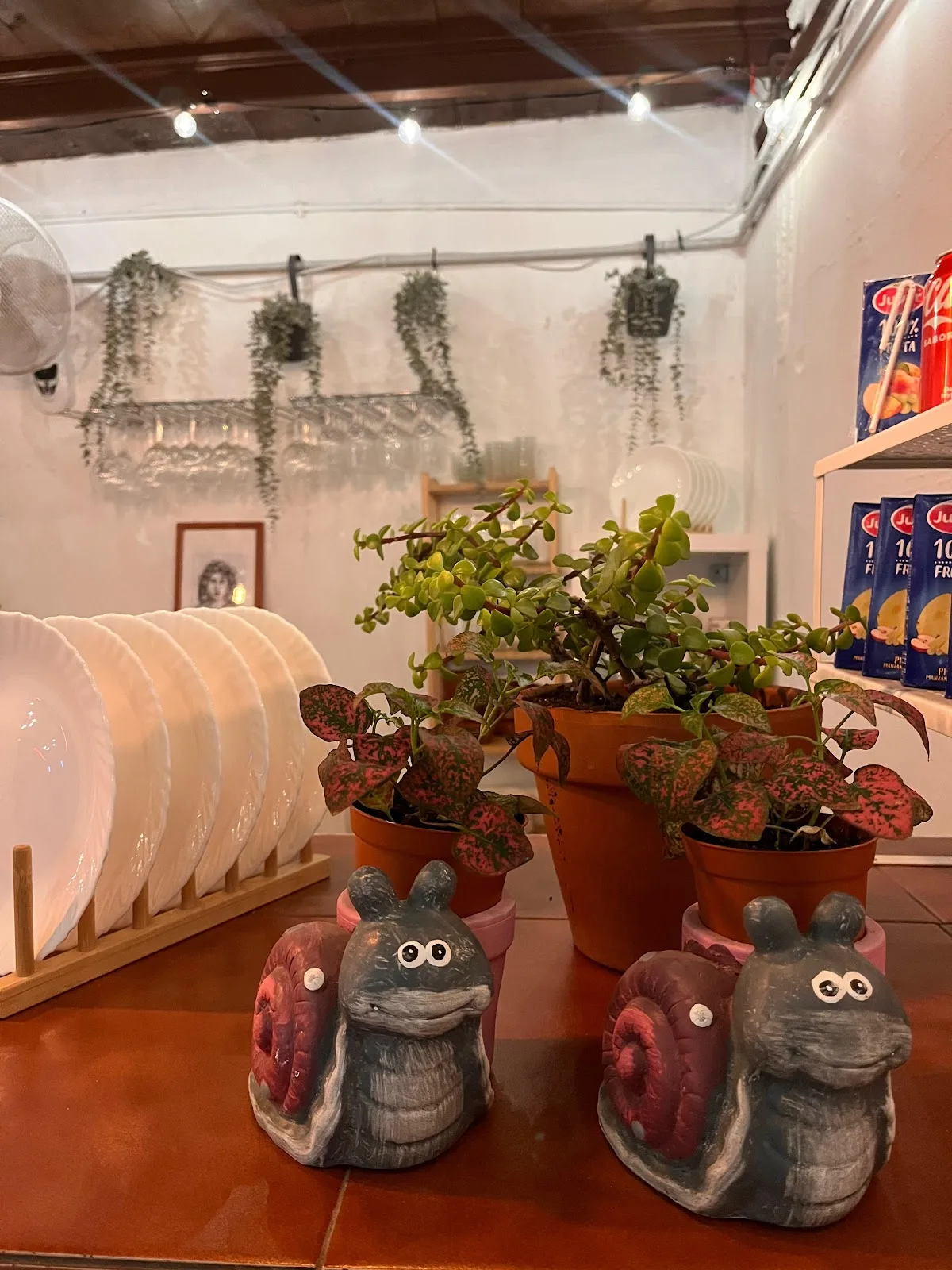 Espacio caracoles - Fotografía 4