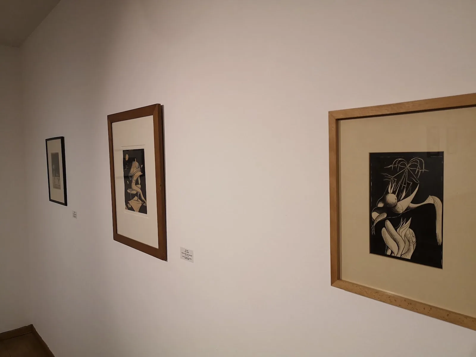 Fundación Eugenio Granell - Fotografía 5