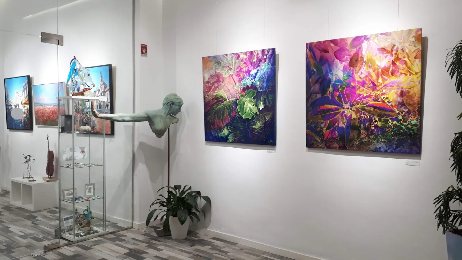 Galería de Arte Maika Sánchez - Fotografía 5