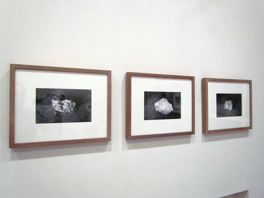 Galería Javier Silva - Fotografía 2