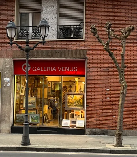 Galería Venus - Fotografía 2