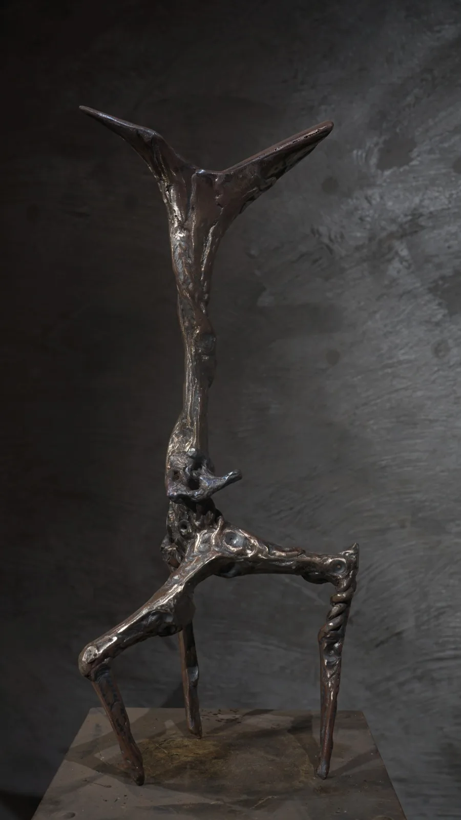 Gallery Corné Nuham - Fotografía 2