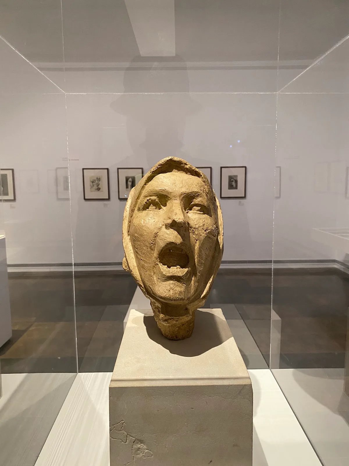 Institut Valencià d'Art Modern (IVAM) - Fotografía 3