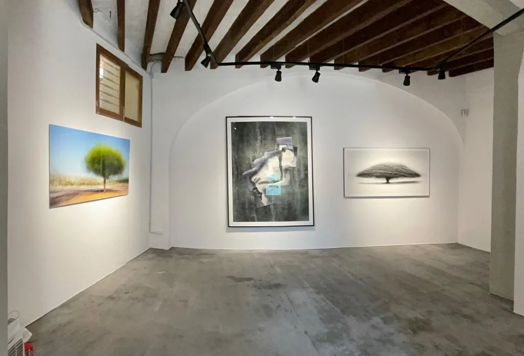INTHEGALLERY MUSEUM - Fotografía 1