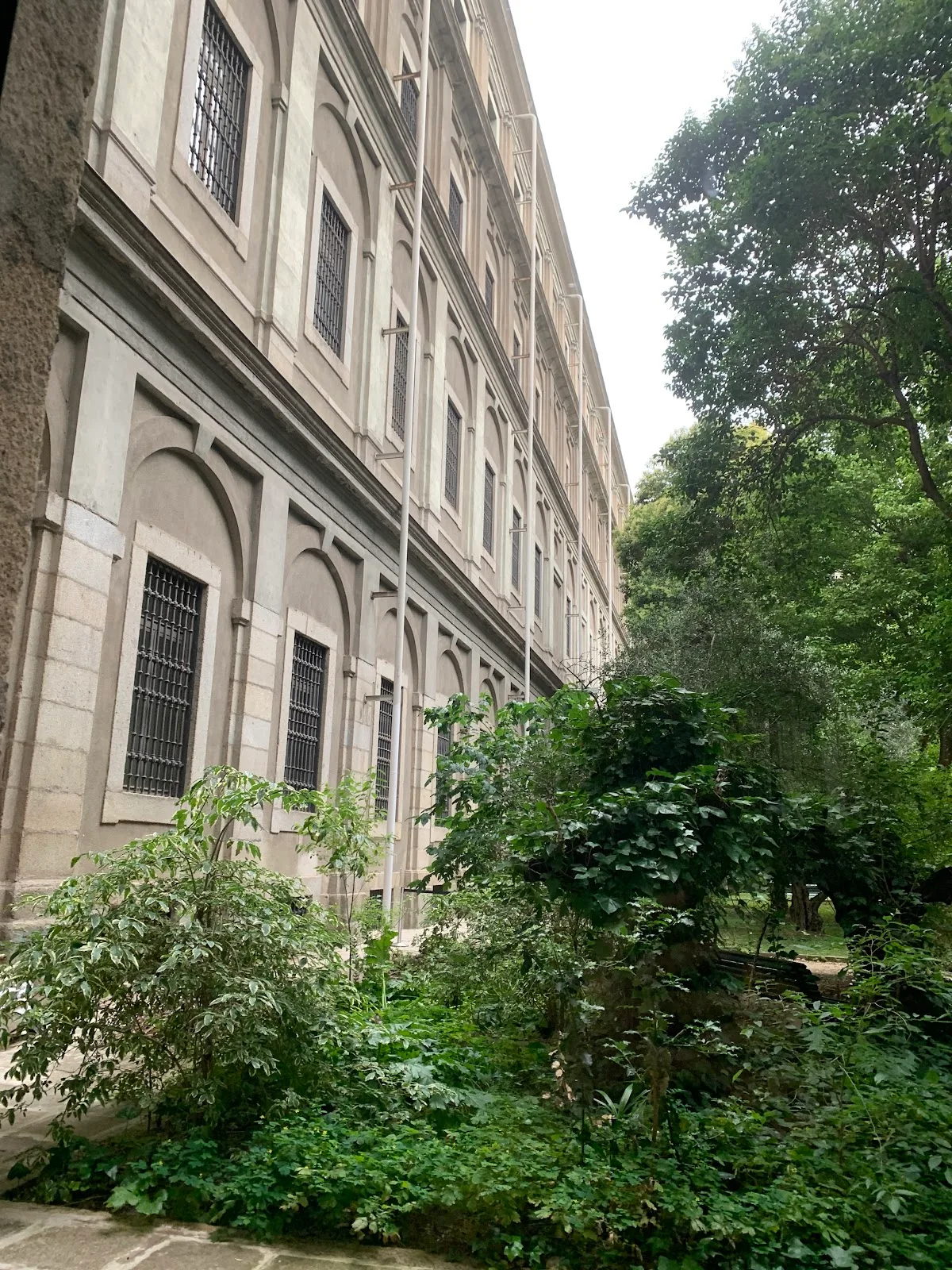 Jardín Edificio Sabatini - Fotografía 5