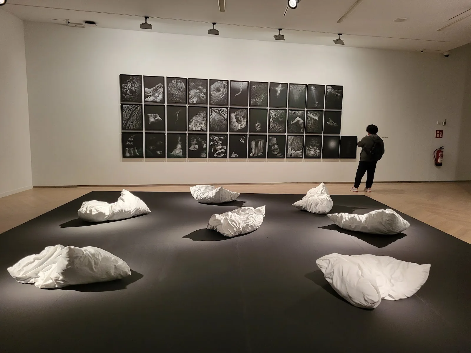 Kubo-kutxa - Fotografía 2