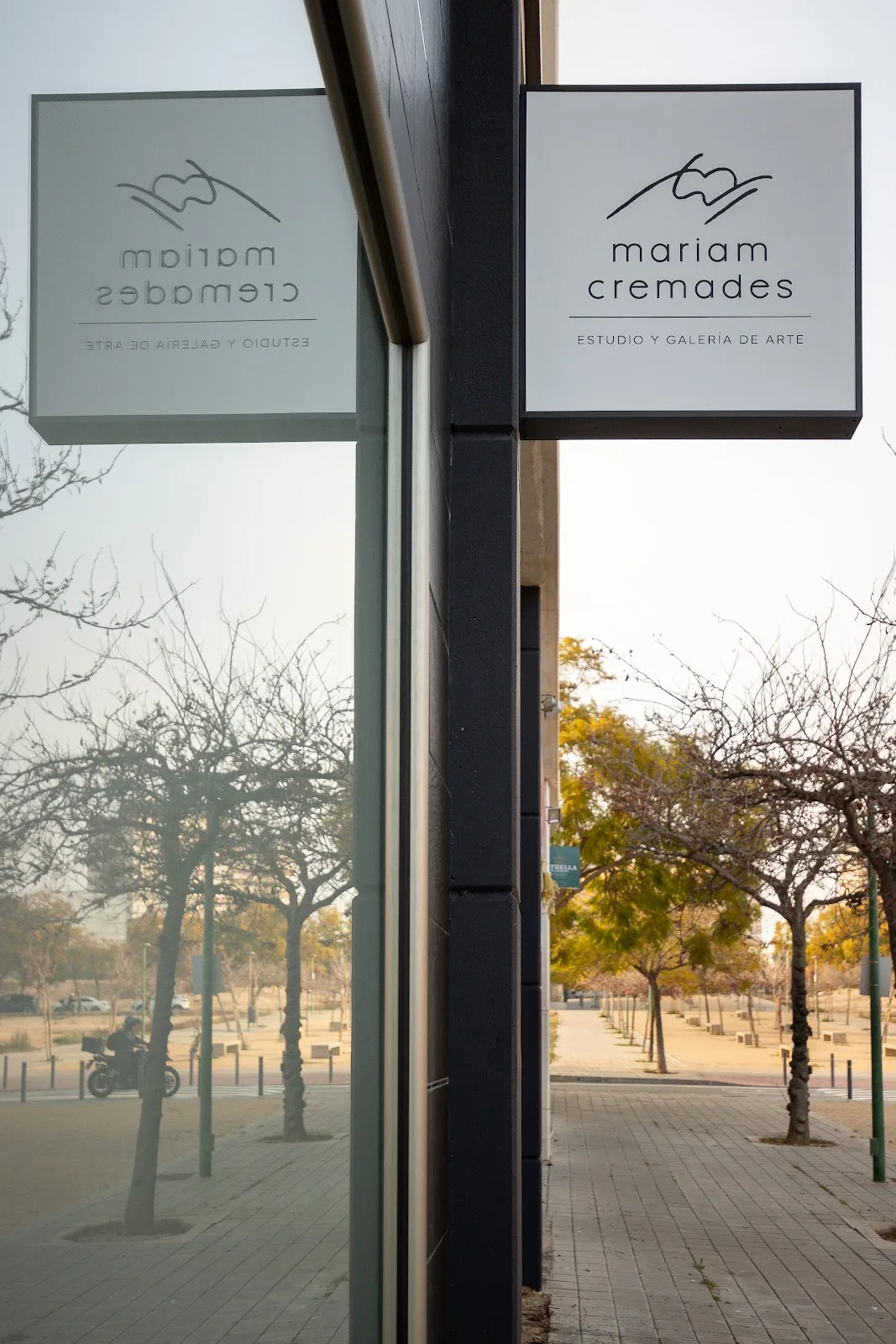 Mariam Cremades - Estudio y Galería de Arte - Fotografía 3