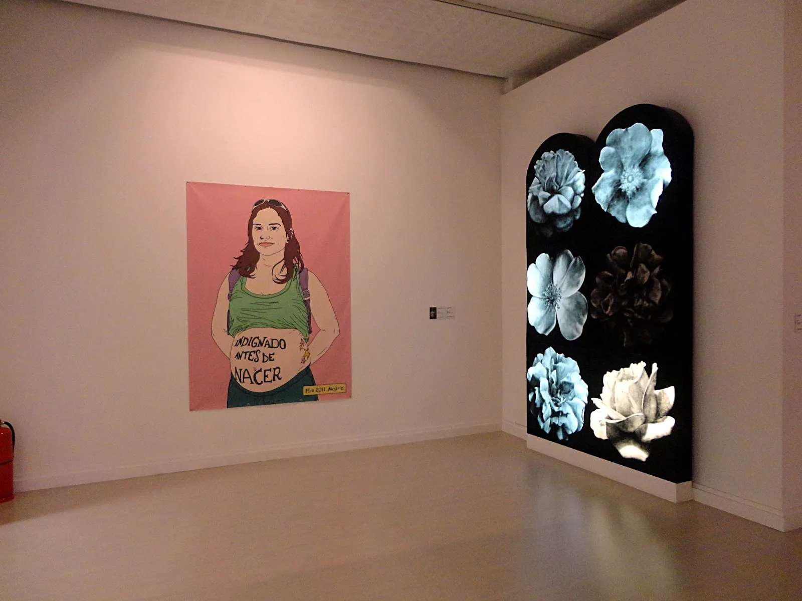 MAS - Museo de Arte de Santander - Fotografía 3