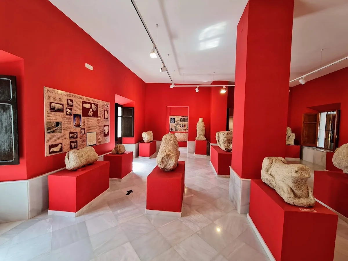 Museo Arqueológico de Espera MAE