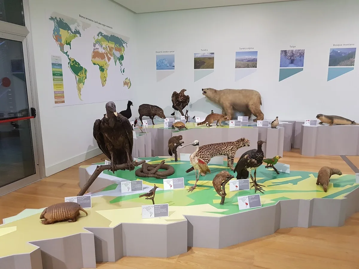 Museo de Ciencias Naturales