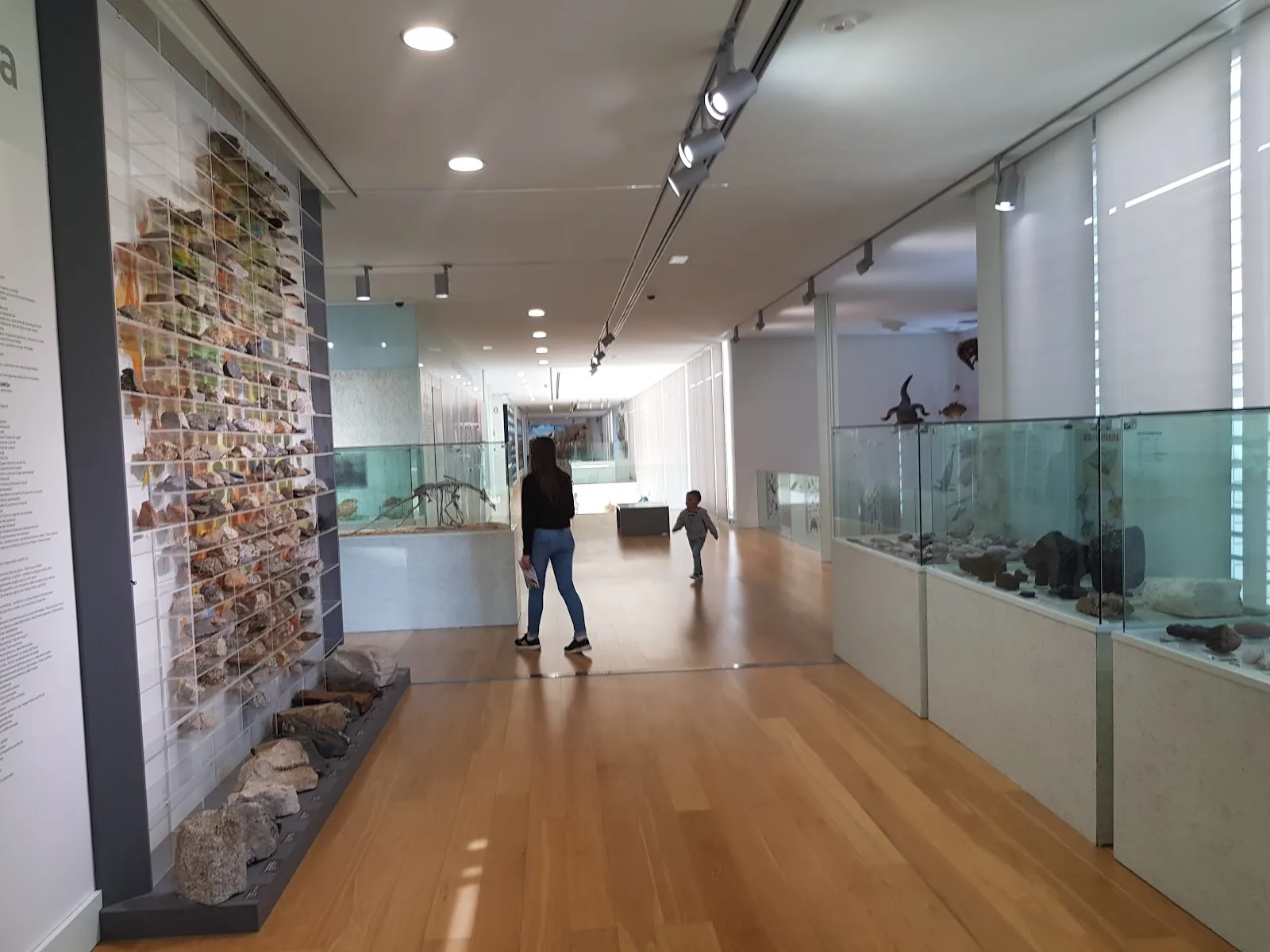 Museo de Historia Natural-USC - Fotografía 3