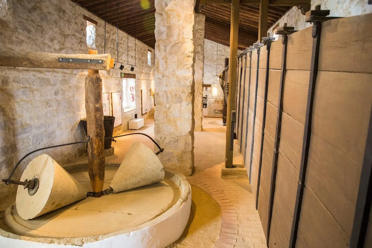 Museo de la Cultura del Olivo - Oleoturismo - Cata de Aceites
