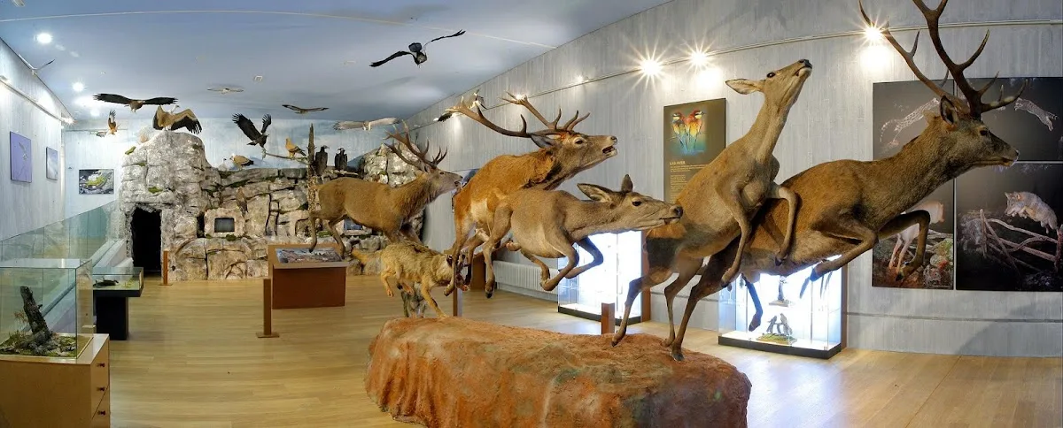 Museo de la Naturaleza Valle del Alberche