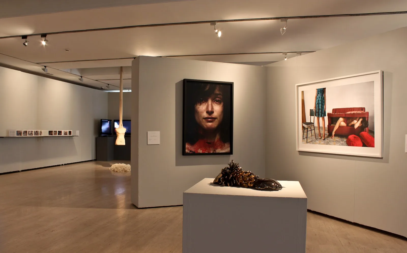 Museo de la Universidad de Alicante - Fotografía 2