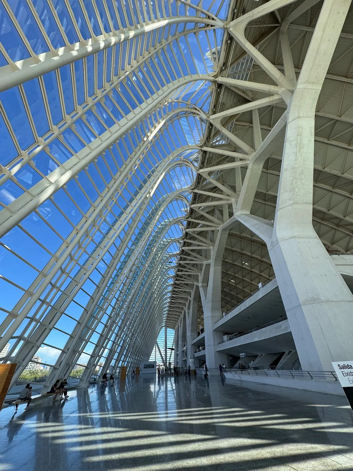 Museo de las Ciencias Príncipe Felipe - Fotografía 2