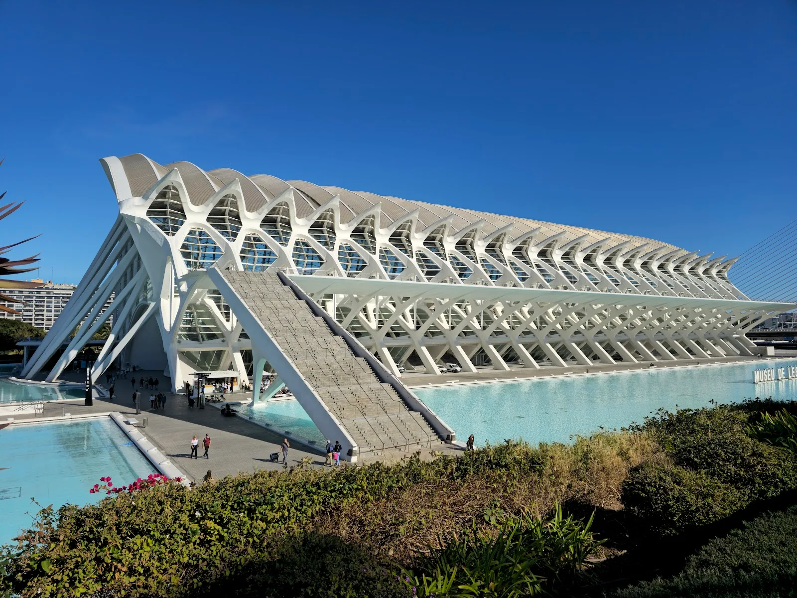 Museo de las Ciencias Príncipe Felipe - Fotografía 5