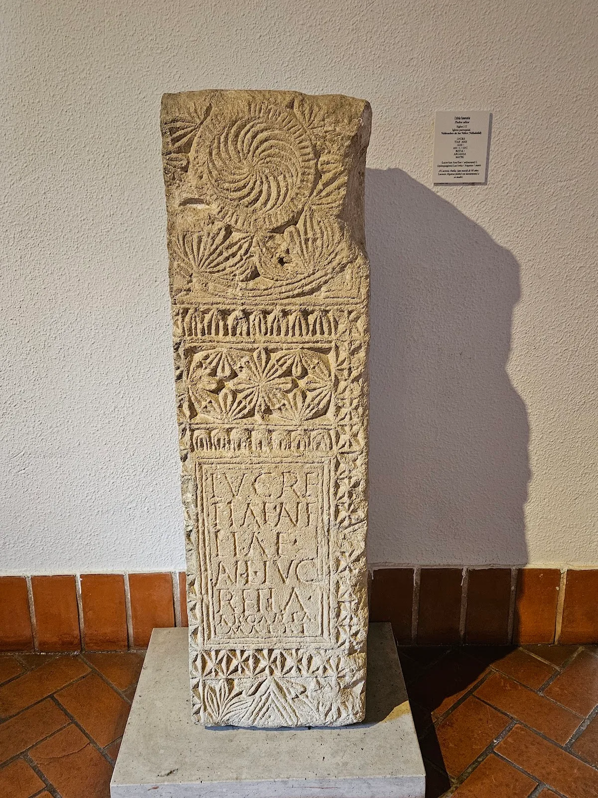 Museo de Valladolid - Fotografía 5