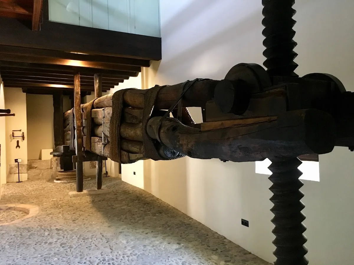 Museo del Aceite - Dcoop