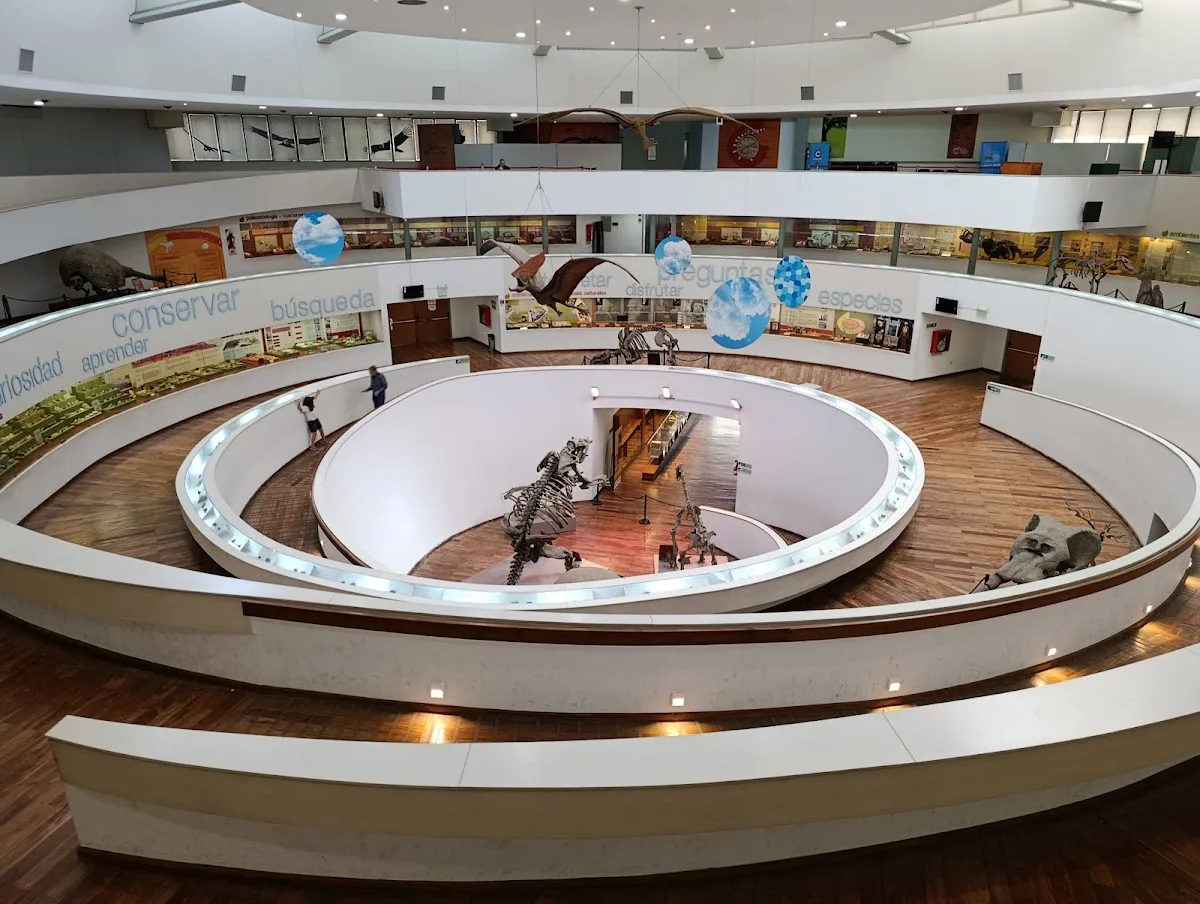 Museo Provincial de Ciencias Naturales "Dr. Arturo Umberto Illía"