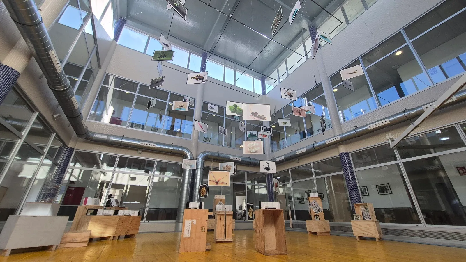 Navia Espacio de Arte - Fotografía 3