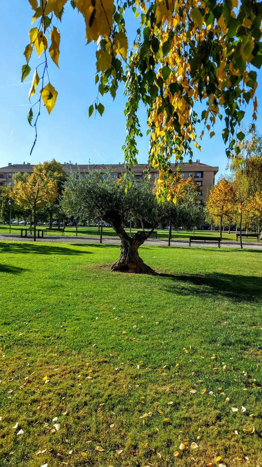 Plaza De La Vendimia