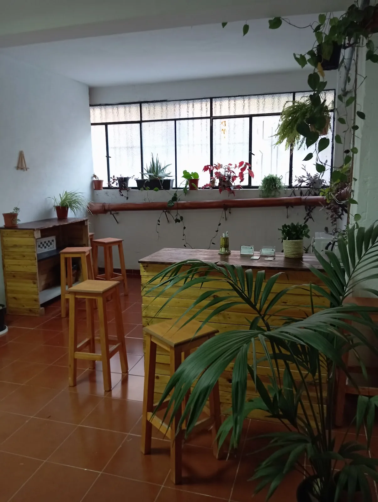 Proyecto Camaleón - Fotografía 1