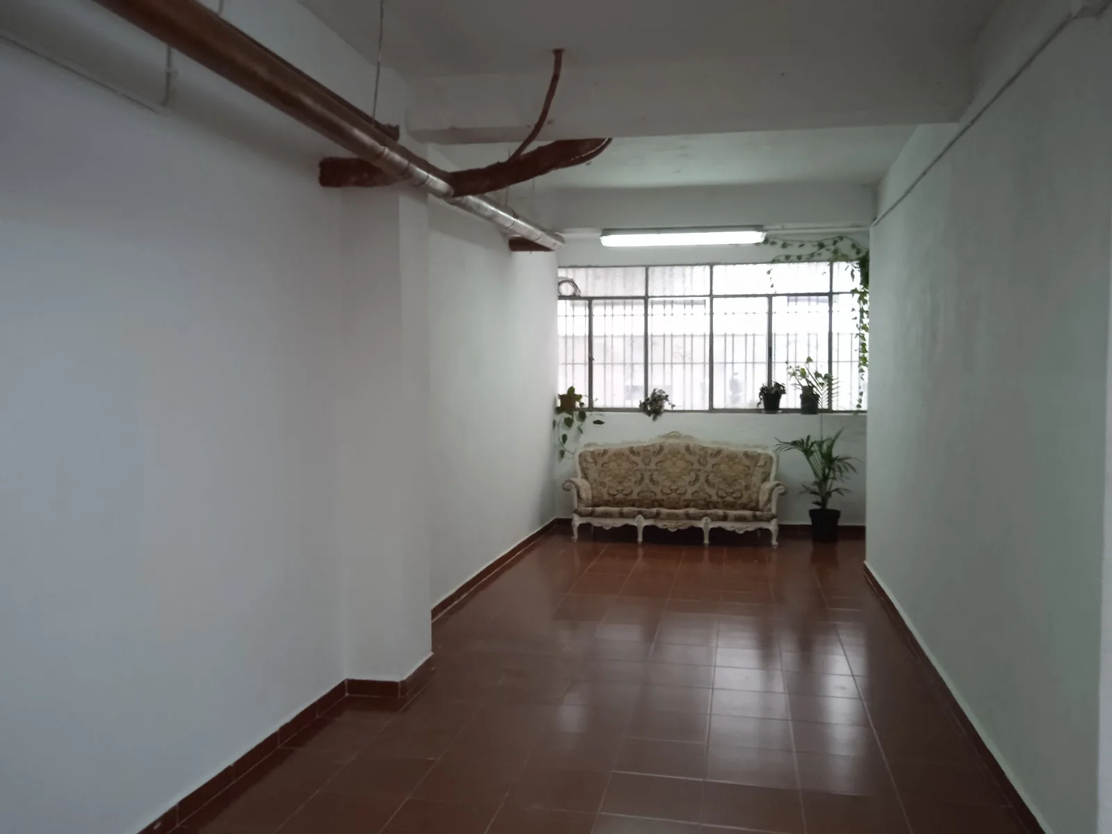 Proyecto Camaleón - Fotografía 3
