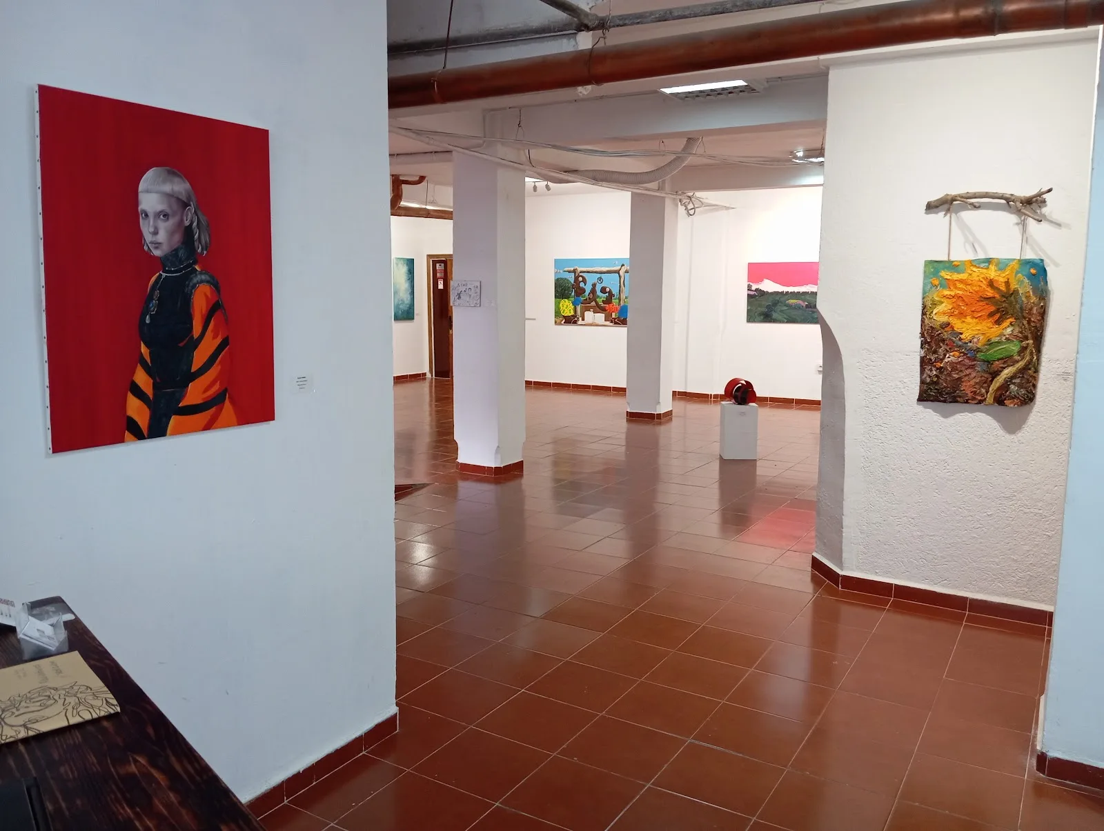 Proyecto Camaleón - Fotografía 5