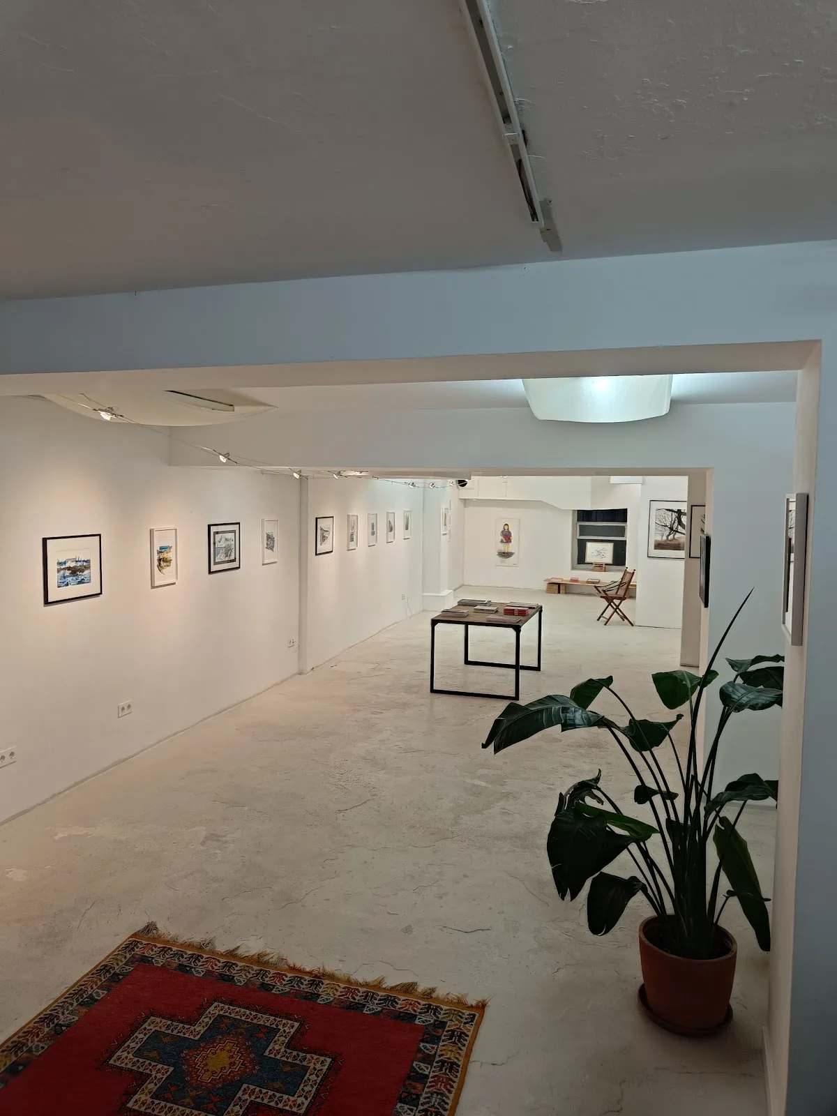 Sakanagallery - Fotografía 1