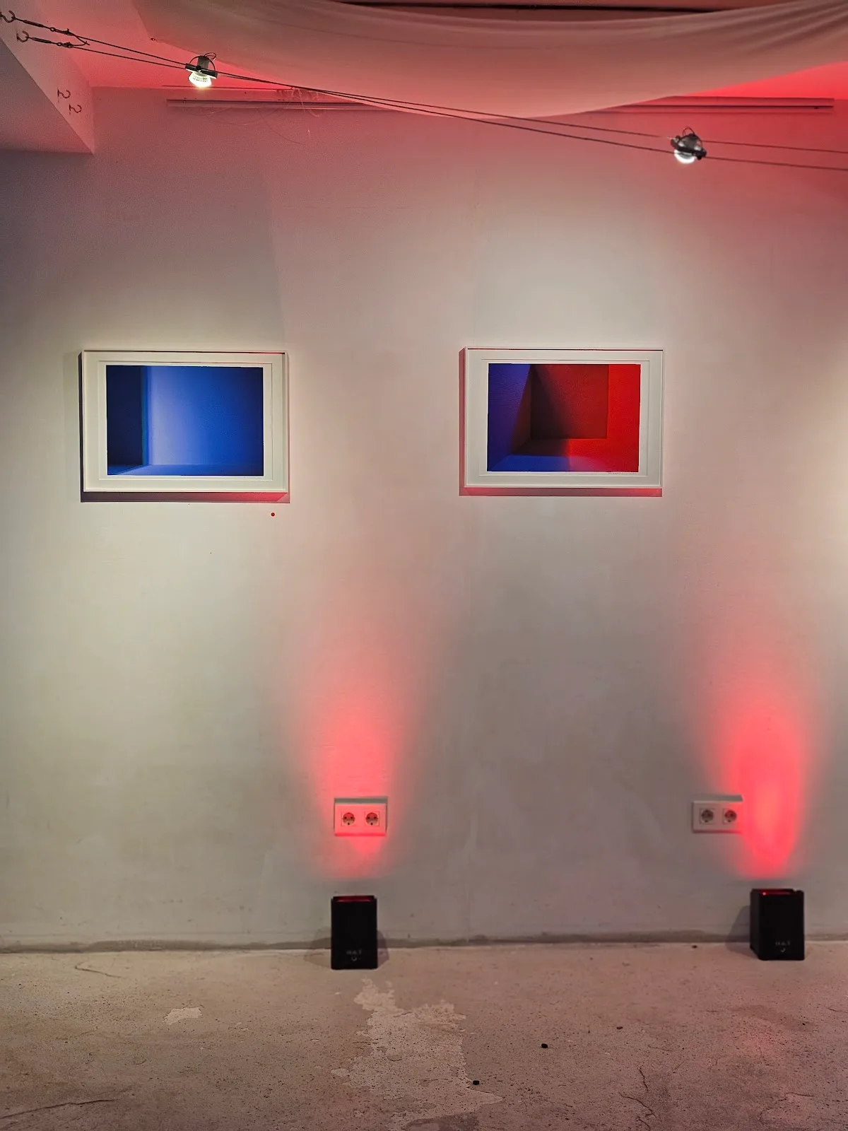 Sakanagallery - Fotografía 3