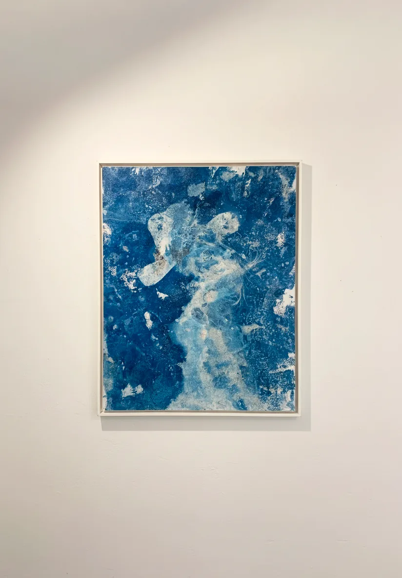 Sakanagallery - Fotografía 4