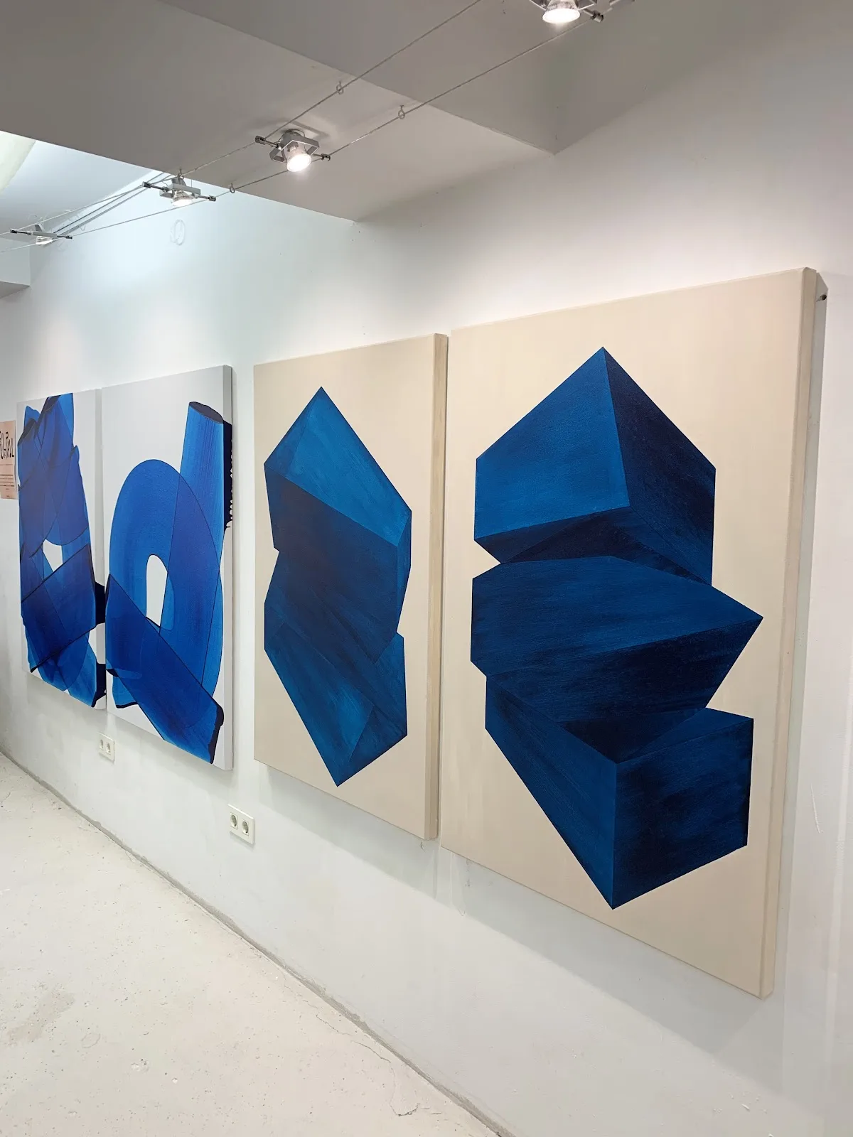 Sakanagallery - Fotografía 5