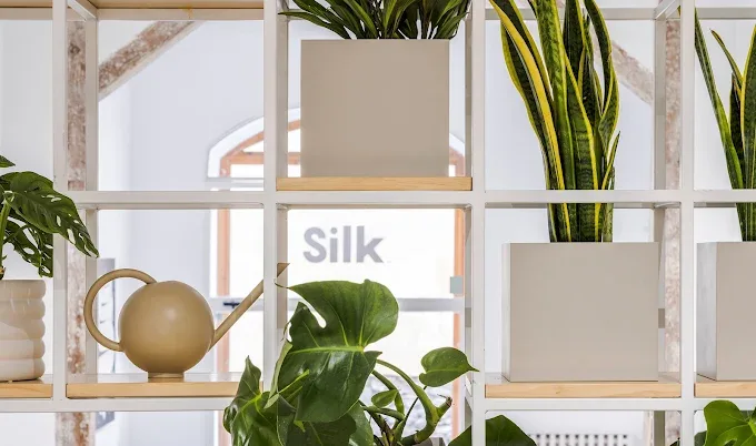Silk Gallery