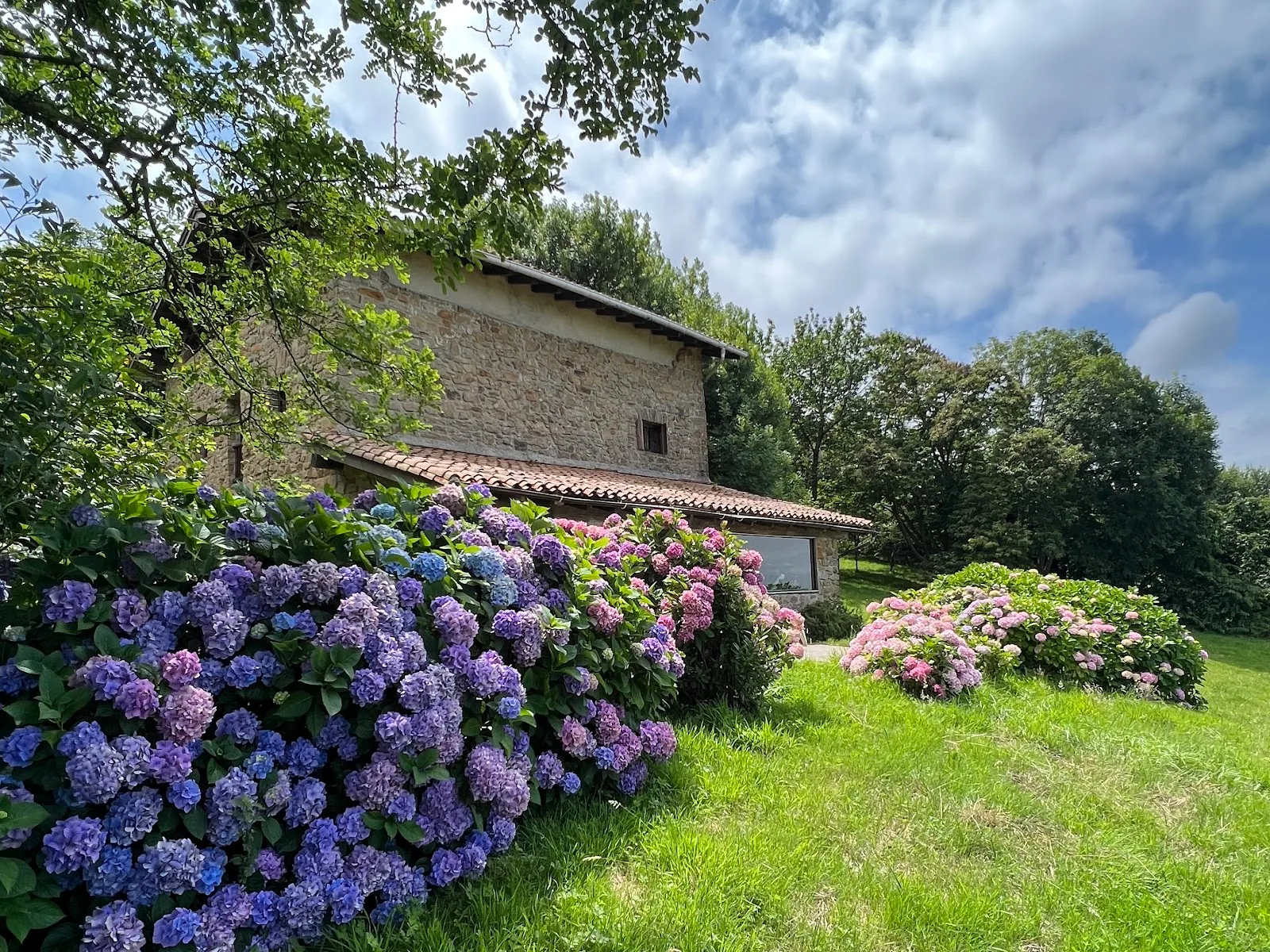 Sorgin Gallery - Fotografía 1